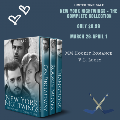 Nightwings, V.L. Locey, MM Romance, Hockey Romance