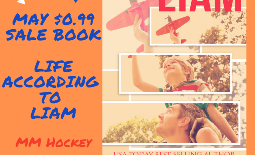 V.L. Locey, MM Romance, Gay Romance