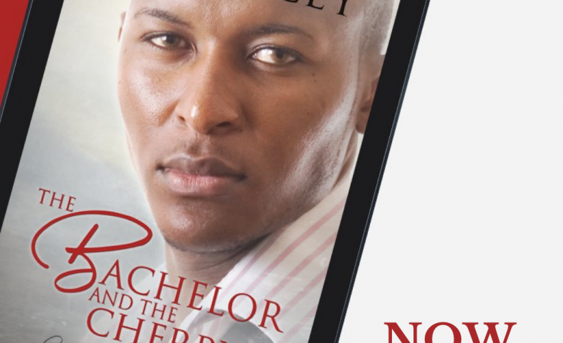 V.L. Locey, MM Romance