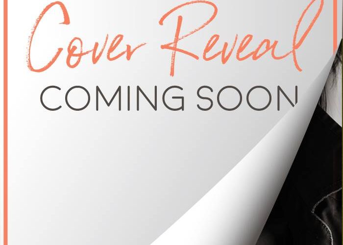 VL Locey, Gay Romance, Hockey Romance