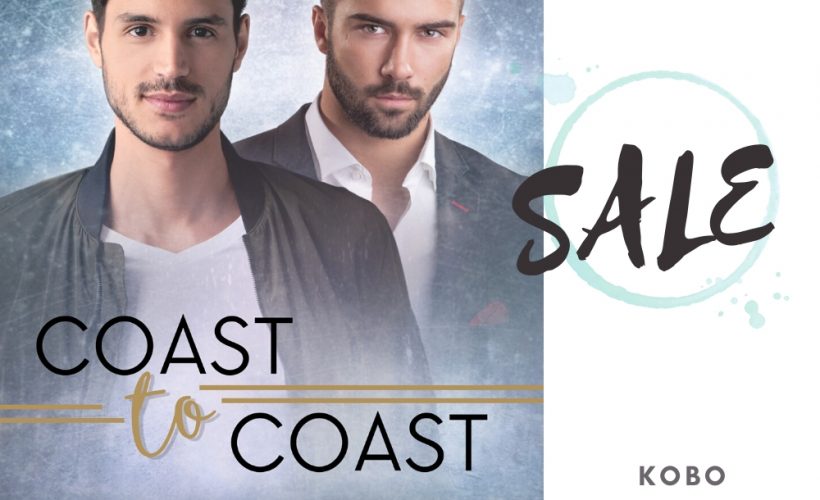 V.L. Locey, MM Romance, Hockey Romance